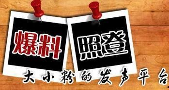 江门新闻爆料平台